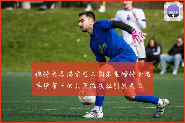 德转消息揭示尤文国米重磅转会名单伊布卡纳瓦罗维埃拉引发关注