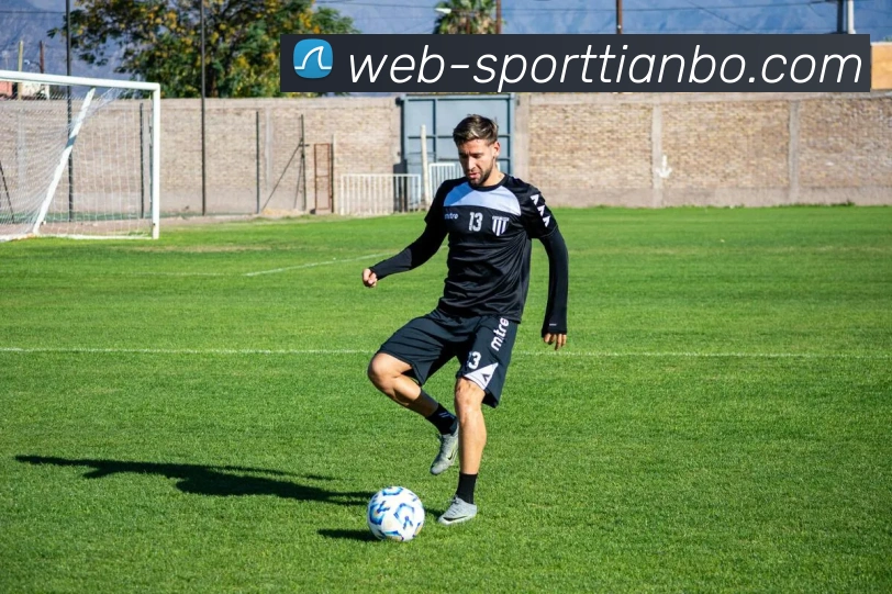 天博体育平台生态图